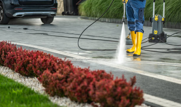 Best Graffiti Removal  in Quincy, MI